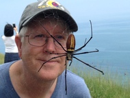 Don't Get Caught in the Web